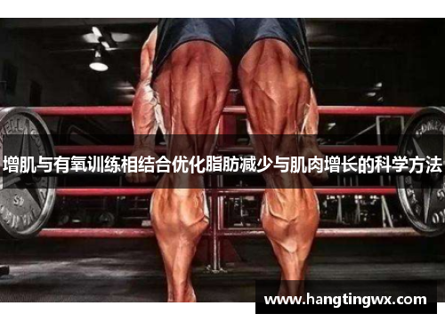 增肌与有氧训练相结合优化脂肪减少与肌肉增长的科学方法